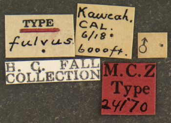 Media type: image;   Entomology 24170 Aspect: labels